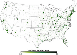 Illustration for article titled How America’s Most Useless Crop Also Became Its Most Commonly Grown One